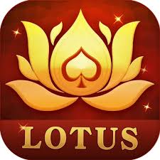 cards teen patti lounge download